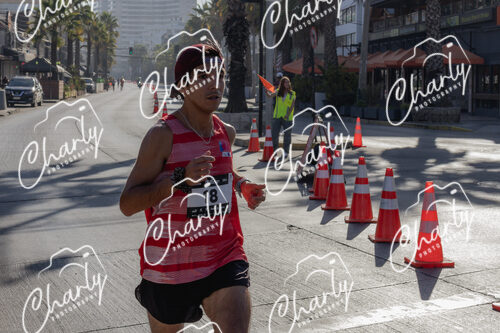 Puma Medio Maratón De Viña Del Mar 2024