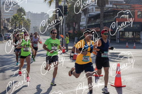 Puma Medio Maratón De Viña Del Mar 2024