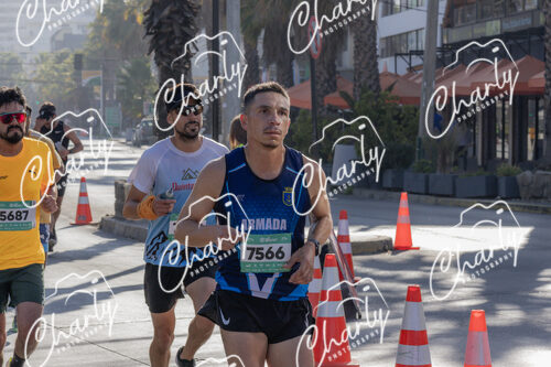 Puma Medio Maratón De Viña Del Mar 2024