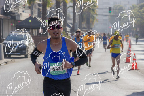 Puma Medio Maratón De Viña Del Mar 2024