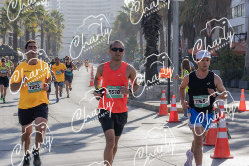 Puma Medio Maratón De Viña Del Mar 2024