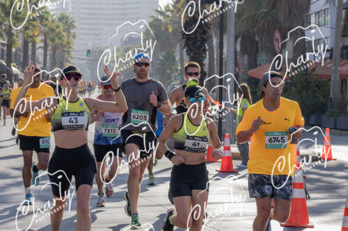 Puma Medio Maratón De Viña Del Mar 2024