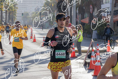 Puma Medio Maratón De Viña Del Mar 2024