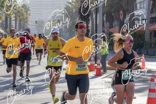 Puma Medio Maratón De Viña Del Mar 2024