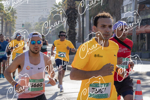 Puma Medio Maratón De Viña Del Mar 2024