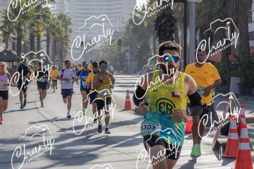 Puma Medio Maratón De Viña Del Mar 2024