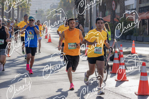 Puma Medio Maratón De Viña Del Mar 2024