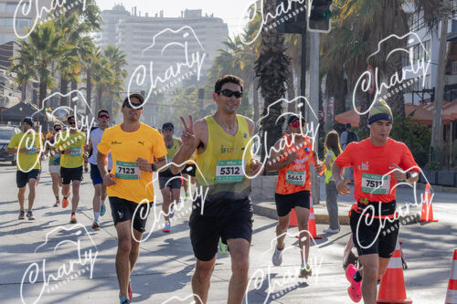 Puma Medio Maratón De Viña Del Mar 2024