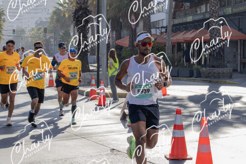Puma Medio Maratón De Viña Del Mar 2024