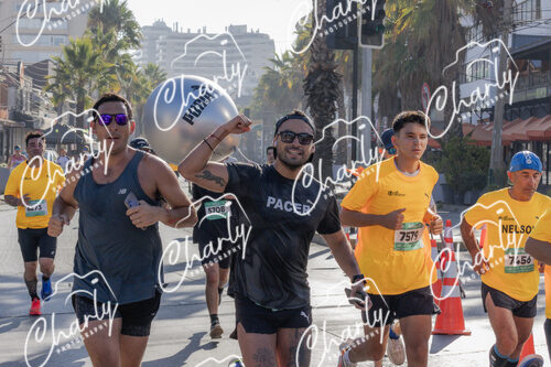 Puma Medio Maratón De Viña Del Mar 2024