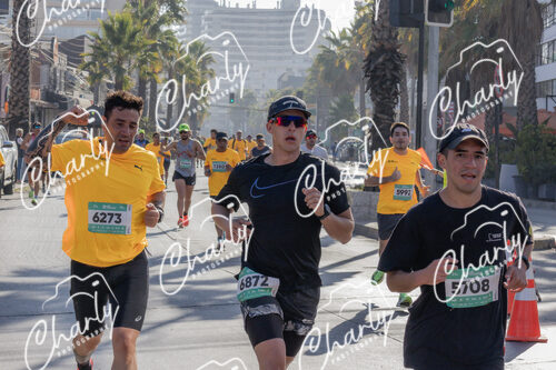 Puma Medio Maratón De Viña Del Mar 2024