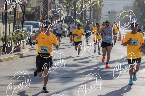 Puma Medio Maratón De Viña Del Mar 2024