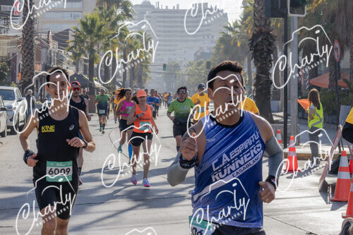 Puma Medio Maratón De Viña Del Mar 2024