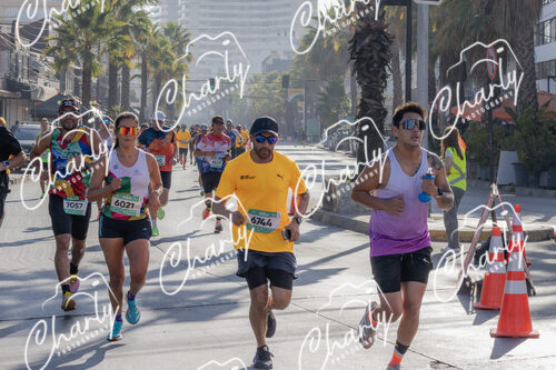 Puma Medio Maratón De Viña Del Mar 2024