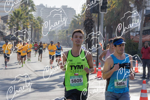 Puma Medio Maratón De Viña Del Mar 2024