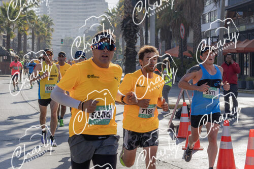 Puma Medio Maratón De Viña Del Mar 2024
