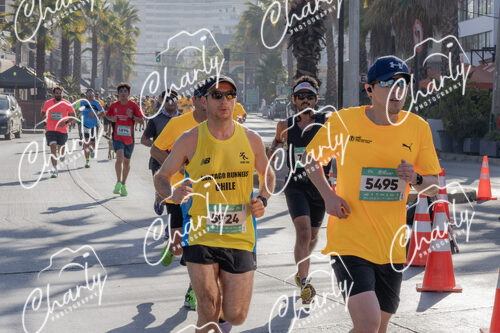 Puma Medio Maratón De Viña Del Mar 2024