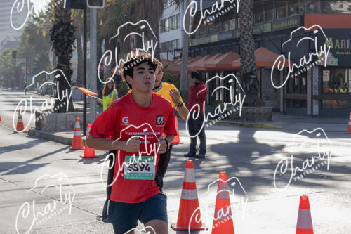 Puma Medio Maratón De Viña Del Mar 2024
