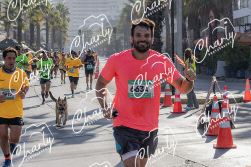 Puma Medio Maratón De Viña Del Mar 2024