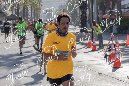 Puma Medio Maratón De Viña Del Mar 2024