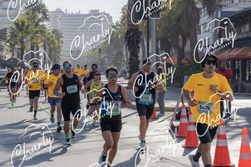 Puma Medio Maratón De Viña Del Mar 2024