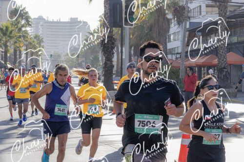 Puma Medio Maratón De Viña Del Mar 2024