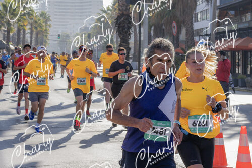 Puma Medio Maratón De Viña Del Mar 2024