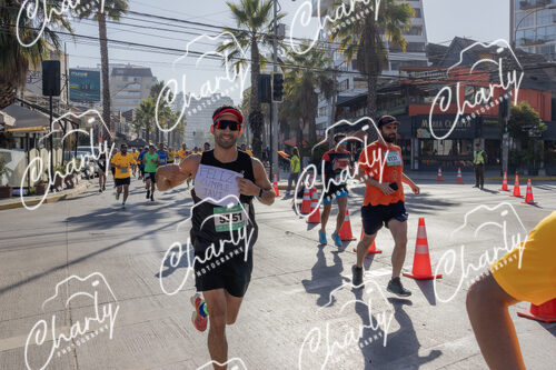 Puma Medio Maratón De Viña Del Mar 2024