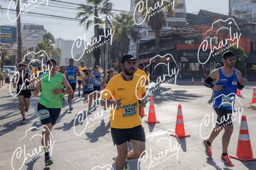Puma Medio Maratón De Viña Del Mar 2024
