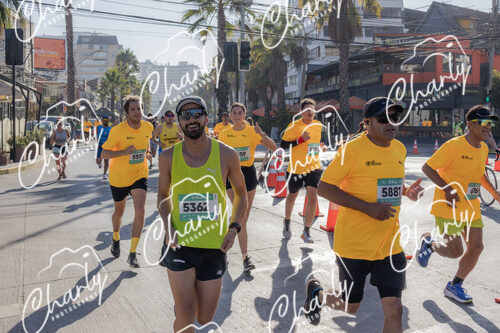 Puma Medio Maratón De Viña Del Mar 2024