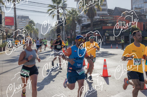 Puma Medio Maratón De Viña Del Mar 2024