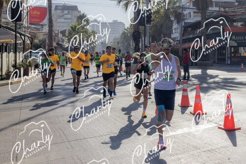 Puma Medio Maratón De Viña Del Mar 2024