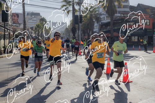 Puma Medio Maratón De Viña Del Mar 2024