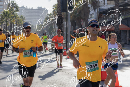Puma Medio Maratón De Viña Del Mar 2024