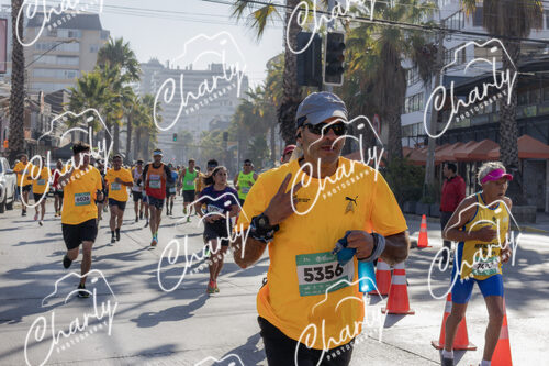Puma Medio Maratón De Viña Del Mar 2024