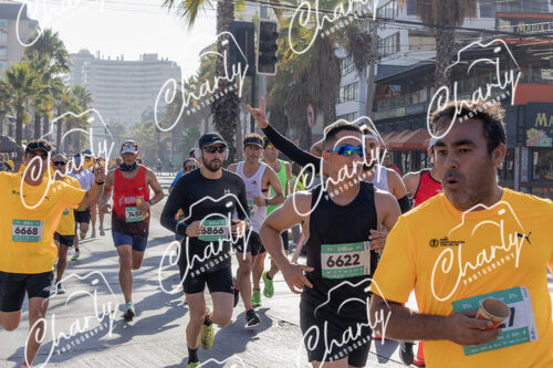 Puma Medio Maratón De Viña Del Mar 2024