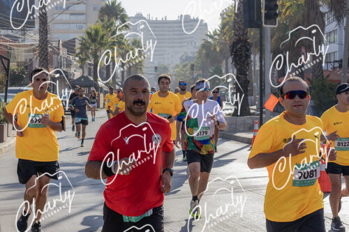 Puma Medio Maratón De Viña Del Mar 2024