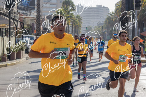Puma Medio Maratón De Viña Del Mar 2024