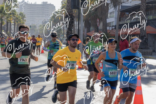 Puma Medio Maratón De Viña Del Mar 2024