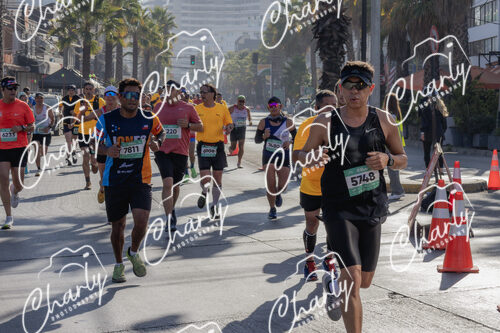 Puma Medio Maratón De Viña Del Mar 2024