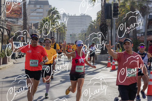 Puma Medio Maratón De Viña Del Mar 2024