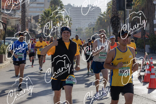 Puma Medio Maratón De Viña Del Mar 2024