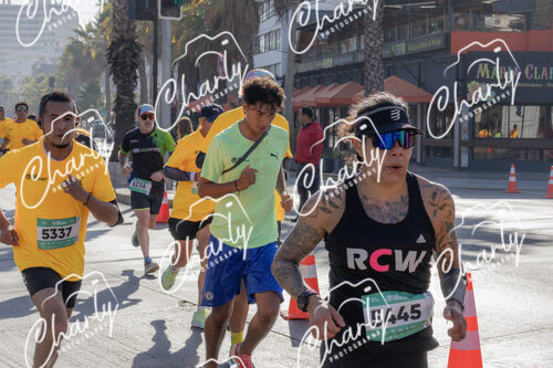 Puma Medio Maratón De Viña Del Mar 2024