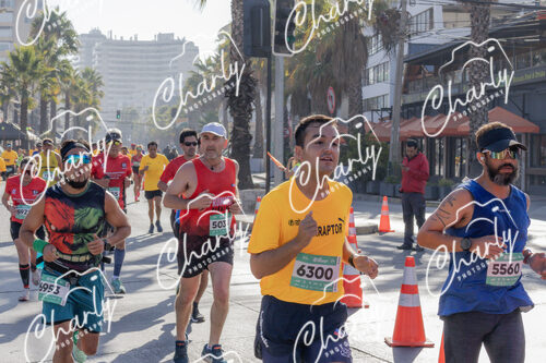 Puma Medio Maratón De Viña Del Mar 2024