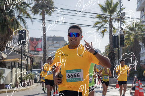 Puma Medio Maratón De Viña Del Mar 2024