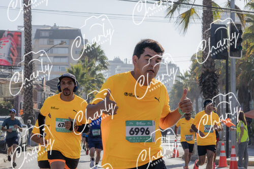 Puma Medio Maratón De Viña Del Mar 2024