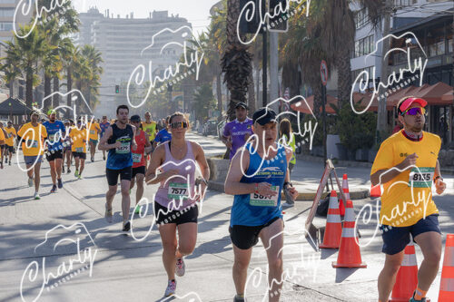 Puma Medio Maratón De Viña Del Mar 2024