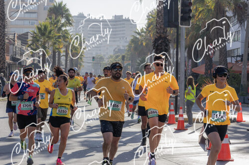 Puma Medio Maratón De Viña Del Mar 2024