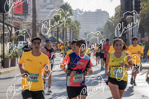 Puma Medio Maratón De Viña Del Mar 2024