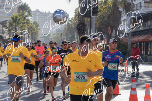 Puma Medio Maratón De Viña Del Mar 2024